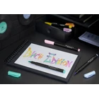 PISAKI PĘDZELKOWE BLACK EDITION FABER-CASTELL, 6 KOLORÓW PASTELOWYCH