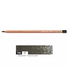 Kredka Caran d'Ache Luminance 6901, 046 Cassel Earth - Ziemisty