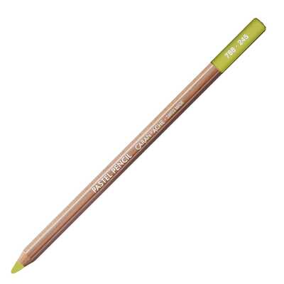 Kredka pastelowa Pastel Pencils Caran d'Ache, kolor 245 Light Olive 40%