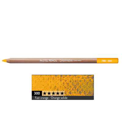 Kredka pastelowa Pastel Pencils Caran d&#039;Ache