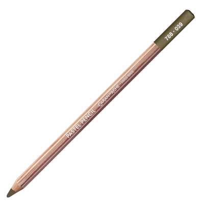 Kredka pastelowa Pastel Pencils Caran d'Ache, kolor 039 Olive Brown