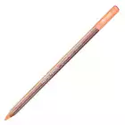 Kredka pastelowa Pastel Pencils Caran d'Ache, kolor 042 Flesh