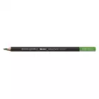 Kredka akwarelowa Caran d'Ache Museum Aquarelle, 720 Bright Green - Jasnozielona