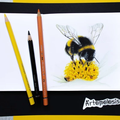 [Zestaw] KREDKI AKWARELOWE ALBRECHT DURER FABER-CASTELL NA SZTUKI, 9 KOLORÓW DO NARYSOWANIA TRZMIELA