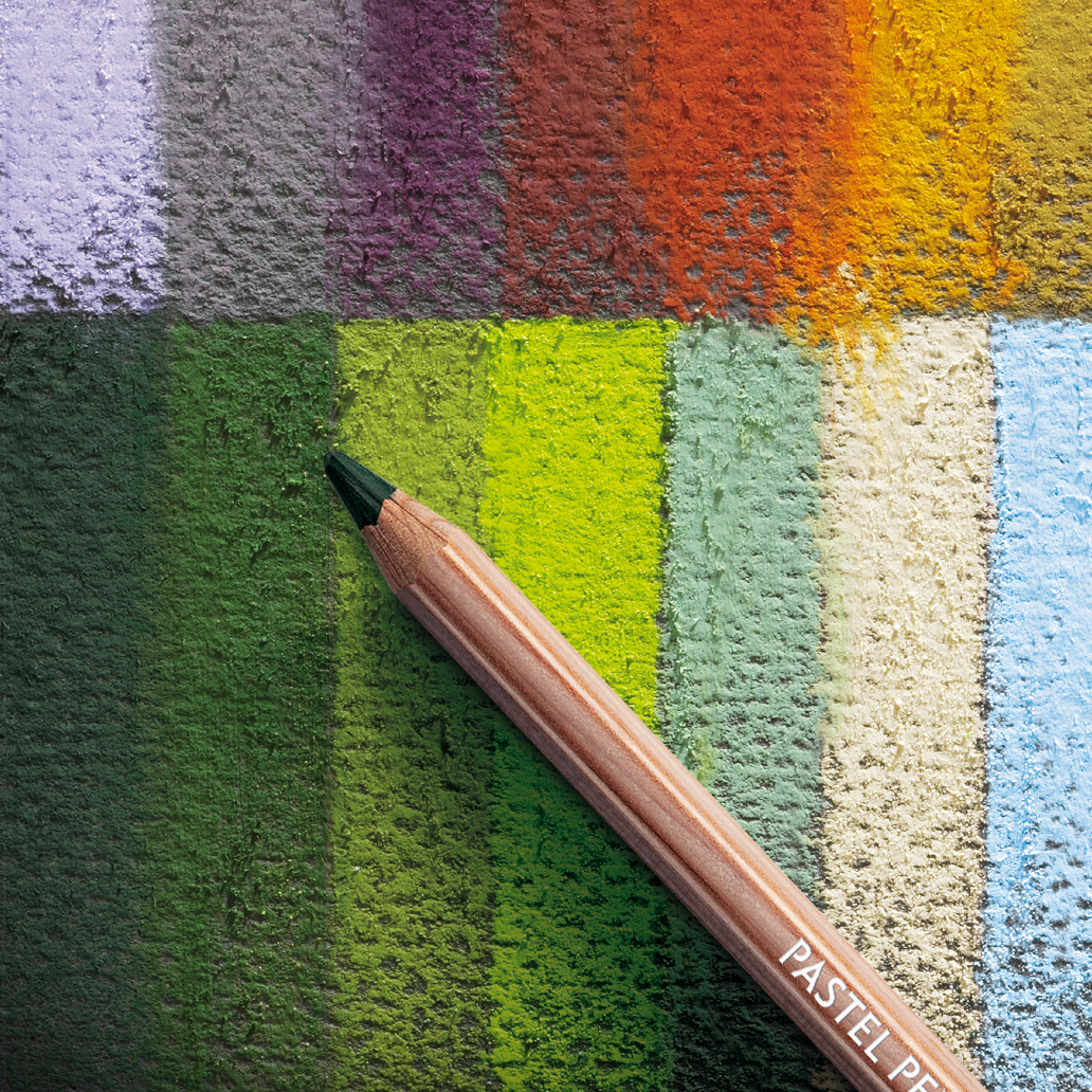 Caran Dache Pastel Pencil Dark Sepia